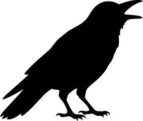 Fototapeta premium Cawing Crow Silhouette Vector Illustration 