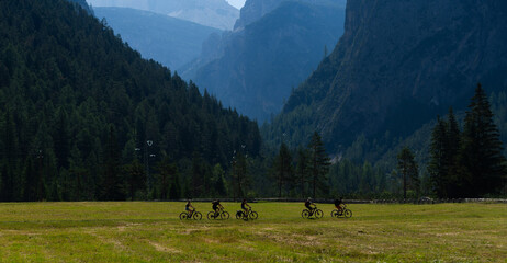 Obraz premium Idyllic mountain landscape in the Alps with blooming meadows in springtime