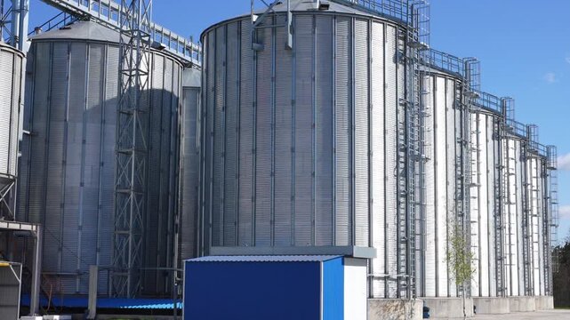 Grain Bins With  Loading Tower. View From Bottom to top. Grain dryer complex. Granary. Metal grain elevator in agricultural zone. Agricultural silos against blue sky