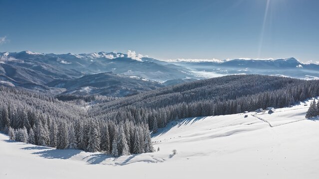 Aerial view of Bukovel ski resort surrounded by snow-covered pine forests and majestic Carpathian mountains under a clear blue sky in Bukovel, Ivano-Frankivsk Oblast, Ukraine.