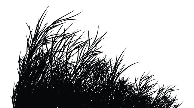 Dense patch of tall wild grass isolated on transparent background detailed black silhouette vector graphic for nature design projects.