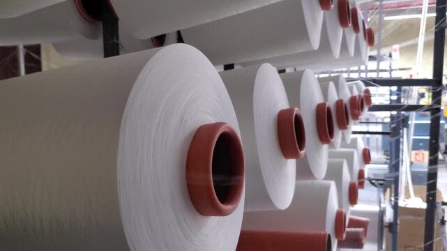 White Yarn Cones Arranged On Circular Knitting Machine In Textile Factory.
Many white yarn cones stacked and arranged on a circular knitting machine in a textile factory. 