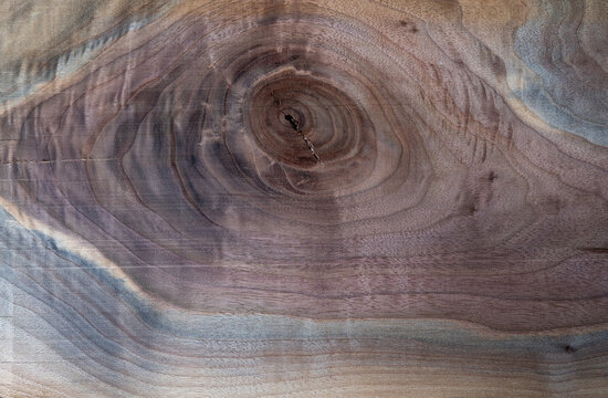 Full frame texture of polished natural walnut wood slab with a prominent tree knot and wavy grain pattern. Detailed close-up background of luxury dark wooden board