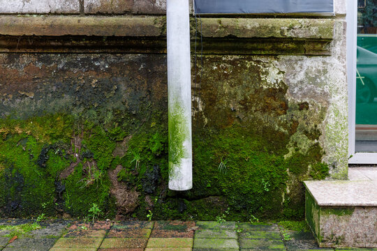Damp facade with moss, algae, mold, moisture damage around exterior pipe and deteriorated masonry requiring repair, remediation and waterproofing