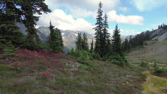 Aerial view of wilderness landscape in Mt. Baker-Snoqualmie National Forest, Washington.