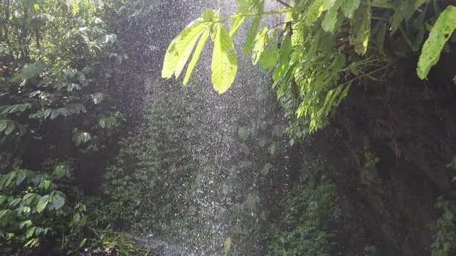 Camera tilt down showing heavy water droplets falling inside Sekumpul jungle canyon in Bali