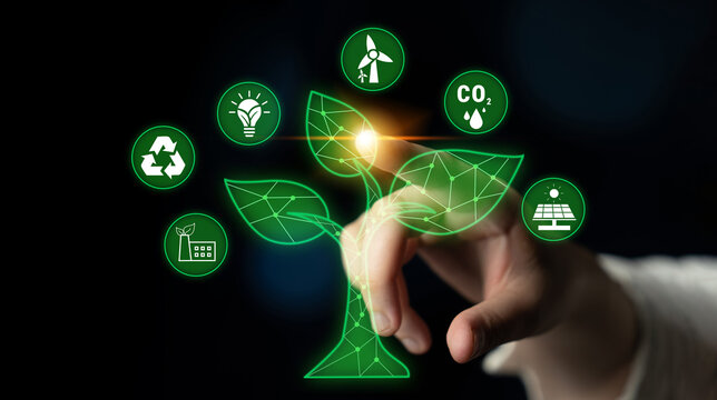 Person hand touching digital tree graphic representing sustainability, eco-friendly concepts, renewable energy, and environmental conservation elements in modern design Quark.