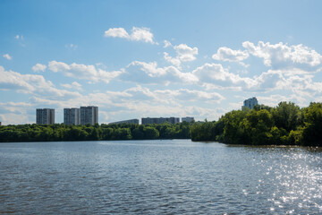 Horizontal view of a wide river bordered by a lush green forest and modern high-rise buildings under a clear blue sky. Great for city nature themes, travel backgrounds, and urban landscape design. © Margarita