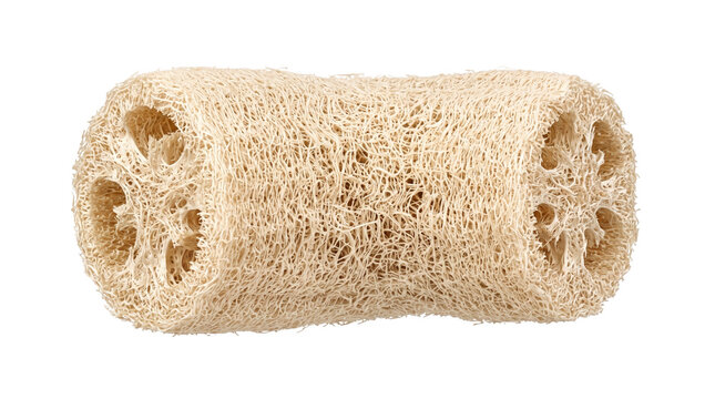Natural loofah sponge for body exfoliation, skincare, and sustainable hygiene. This eco friendly plant fiber tool is perfect for spa, wellness, and beauty concepts.