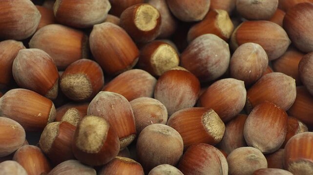 Hazelnuts In Shell Close Up Pile Of Nuts