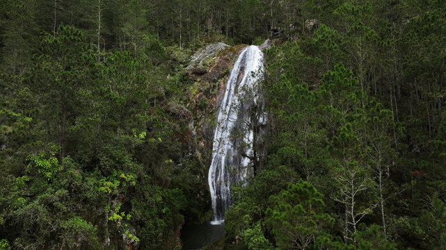 Aerial view of the cascading Aguas Blancas waterfall surrounded by dense pine forests and rocky cliffs in Constanza, La Vega, Dominican Republic.
