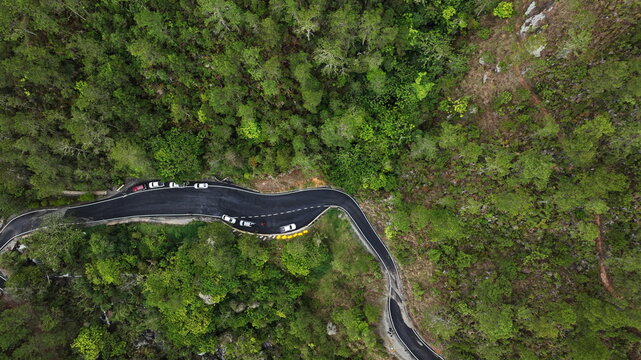 Aerial view of the winding Carretera al Salto de Aguas Blancas road surrounded by dense pine forests in the mountains of Constanza, La Vega, Dominican Republic.