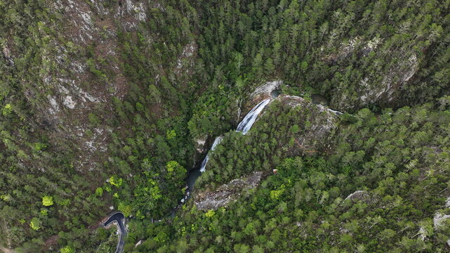 Aerial view of Salto de Aguas Blancas waterfall cascading through a lush pine forest with the winding Carretera al Salto de Aguas Blancas visible below in Constanza, La Vega, Dominican Republic.