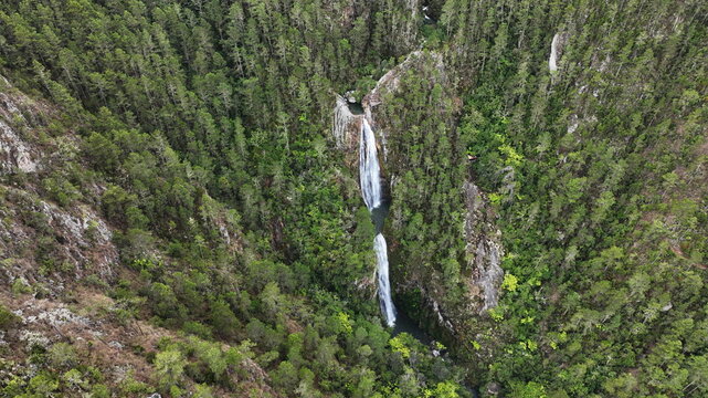 Aerial view of Salto de Aguas Blancas cascading through a dense pine forest in the mountains of Constanza, La Vega Province, Dominican Republic.