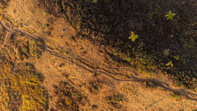 Aerial view of the landscape at Sunrise Camp Gunung Prau, featuring dry golden grass, dark volcanic soil, and winding trails in Kecamatan Kejajar, Jawa Tengah, Indonesia.