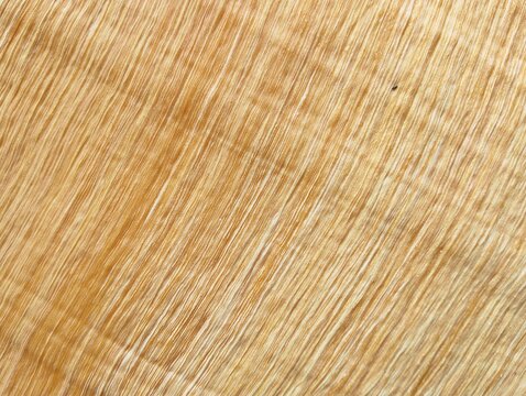 Natural dried betel palm leaf sheath texture background with diagonal organic fibers.