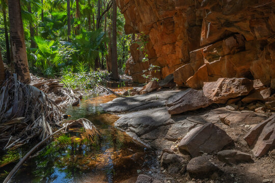Low light in rugged narrow gorge with rocky track and stream