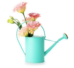 Beautiful eustoma flowers in watering can isolated on white © New Africa