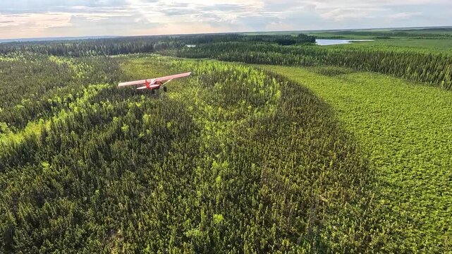 ALASKA - 9.3.2026 - Incredible aerial footage following a bush pilot flying over thick green forests of Alaska.