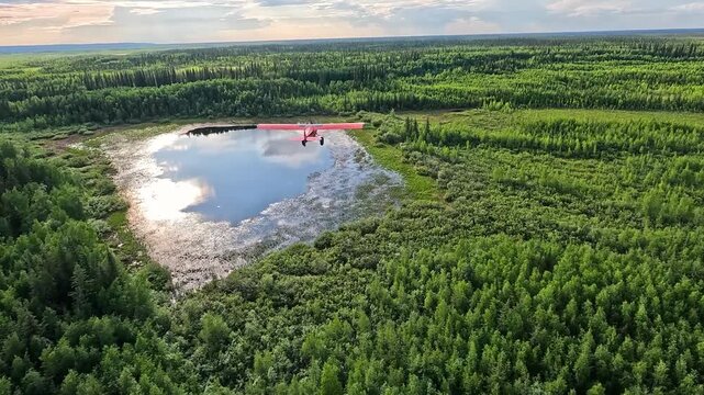ALASKA - 9.3.2026 - Stunning aerial footage following a bush pilot flying over forested wetlands in Alaska.
