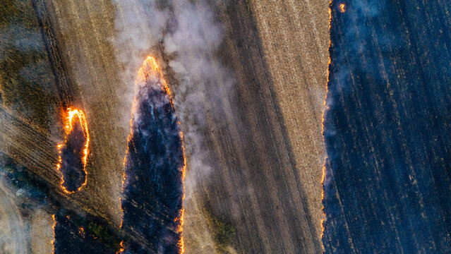 Aerial view of agricultural fields burning with active fire lines and smoke plumes rising over the rural landscape in Sremska Mitrovica, Vojvodina, Serbia.