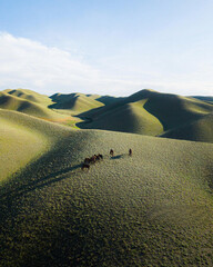 Rolling green hills stretch beneath a bright sky with small grazing animals in the distance, creating a peaceful pastoral landscape ideal for rural and nature themes. © UQink