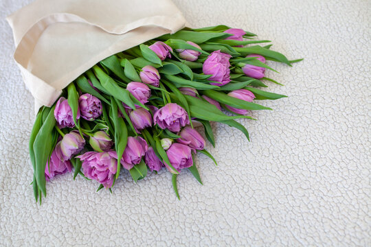 Beautiful bouquet of fresh purple peony tulips packed in beige cotton tote bag on textured light background. Spring, gifts, celebration, romantic atmosphere, greeting cards, floristry business.
