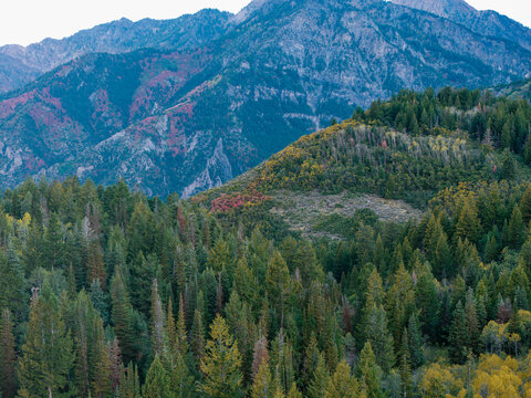 Aerial view of Alpine Loop Scenic Byway during autumn with vibrant fall foliage, evergreen forests, and rugged mountains in Utah County, Utah, United States.