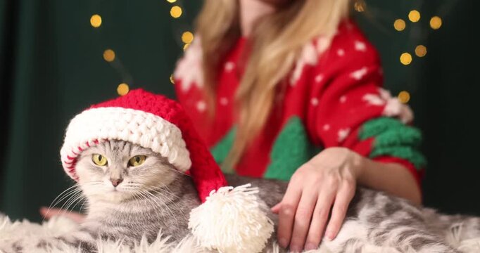 Woman posing with a gray British Shorthair cat, cozy holiday moment.