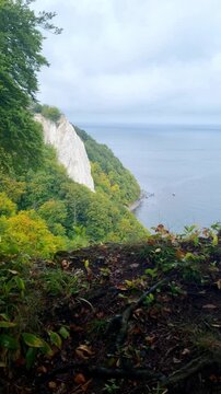 Chalk Cliff and Baltic Sea in Vertical Format on Ruegen