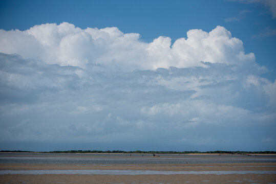Wide sandy mudflat landscape stretching toward the horizon beneath a dramatic sky with large white clouds. Coastal mangrove vegetation lines the distant edge of the wet sand, creating a natural coasta