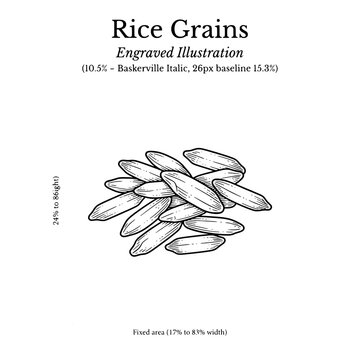 Engraved illustration of rice grains showing detailed hand-drawn line art in monochrome style