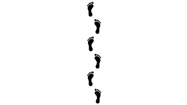 Animated Human Barefoot Footprints Appearing from Bottom to Top, Seamless Walking Path Motion on Transparent black Background animation. Animation of 4k video.