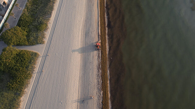 Aerial view of a tractor cleaning seaweed from the sandy shoreline with the ocean waves gently lapping at the coast in Miami Beach, Florida, United States.