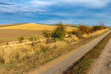 A dirt road through a field © parpalac