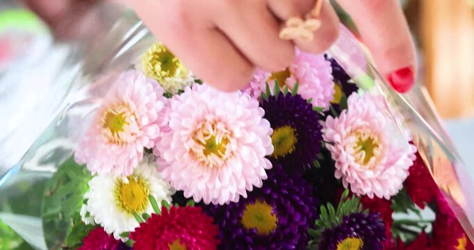 Wrapping a bouquet of asters in clear film; Teacher's Day; festive mood.