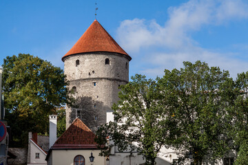 A round limestone defensive tower with a conical red-tiled roof rises above medieval city walls and rooftops, framed by autumn trees in Tallinn, Estonia’s Old Town © Tony Blood