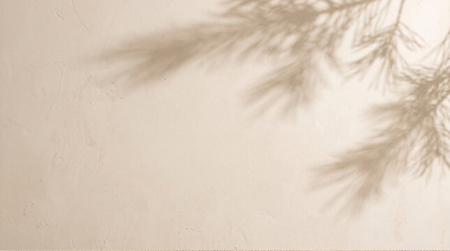 Soft pine branch shadow on beige textured wall