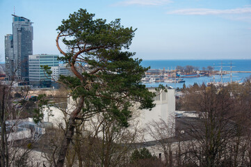 View from top of Kamienna Góra - hill located in city center, 52.4 meters above sea level. Gdynia, Poland. © aerrant
