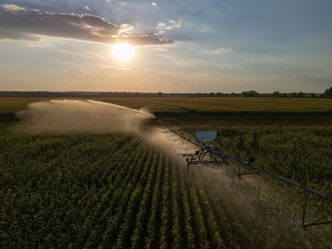 Aerial view of pivot irrigation on fields near Solt, Hungary at sunset