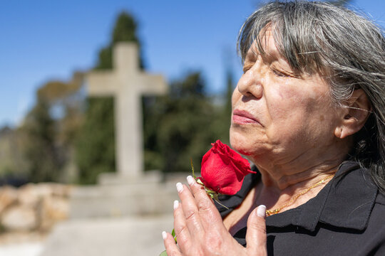 Senior woman with grey hair crying  in a cemetery. Holding a red rose and praying with grief and mourning for loved one at funeral.