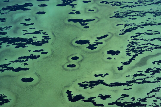Aerial view of the intricate turquoise and deep blue ocean patterns of the seagrass meadows in the shallow waters of the Shire of Shark Bay, Western Australia, Australia.