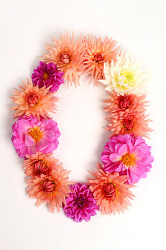 Number 0 created from real, fresh dahlia flowers. Floral typography concept, floral font with colorful, vibrant flowers,A unique collection of letters and numbers for design.