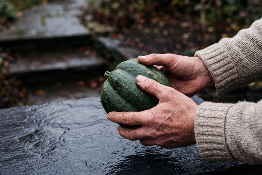 Choosing the imperfect harvest