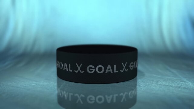 HOCKEY GOAL ANIMATION