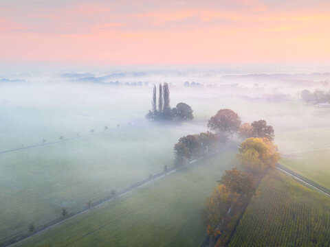 Aerial view of the misty landscape with rows of trees and lush green fields during the golden hour in Haaren, North Brabant, Netherlands.