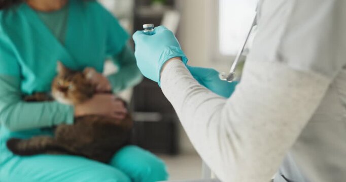 Vet prepares injection for cat vaccination clinic. Close view shows gloved medic drawing vaccine as colleague holds a tabby, highlighting safety and preventive care. Clean pet care concept here.
