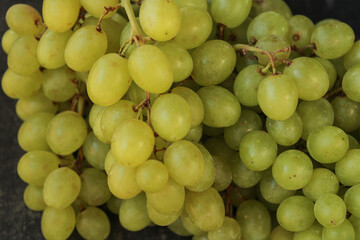 Macro shot of fresh green grapes in a dense bunch, showing vibrant texture and soft natural light © Diana