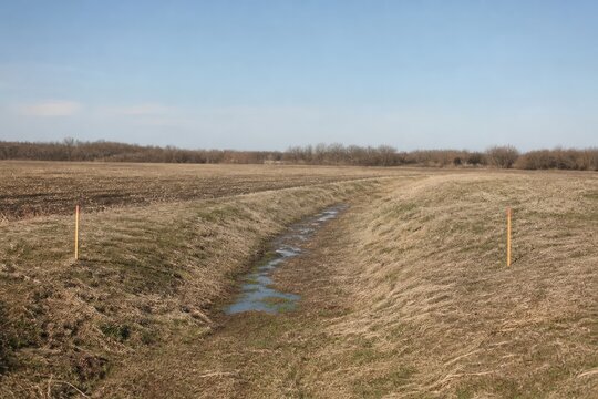 Wetland restoration monitoring baseline of a drained swale beside a cultivated field