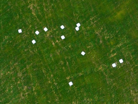 Aerial view of white hay bales scattered across a lush green meadow in Liabygda, More og Romsdal, Norway.